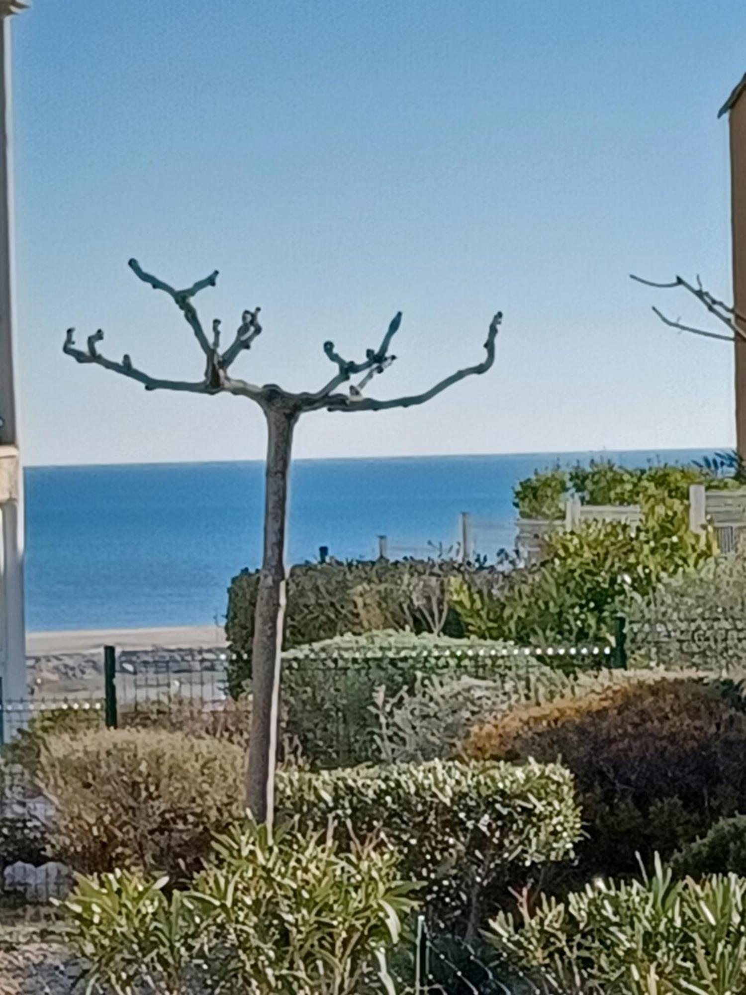 Plain-Pied Jardin 6 Personnes Clim Vue Mer Parking Wifi Terrasse Piscine Dans La Residence Saint-Pierre-la-Mer  Zewnętrze zdjęcie