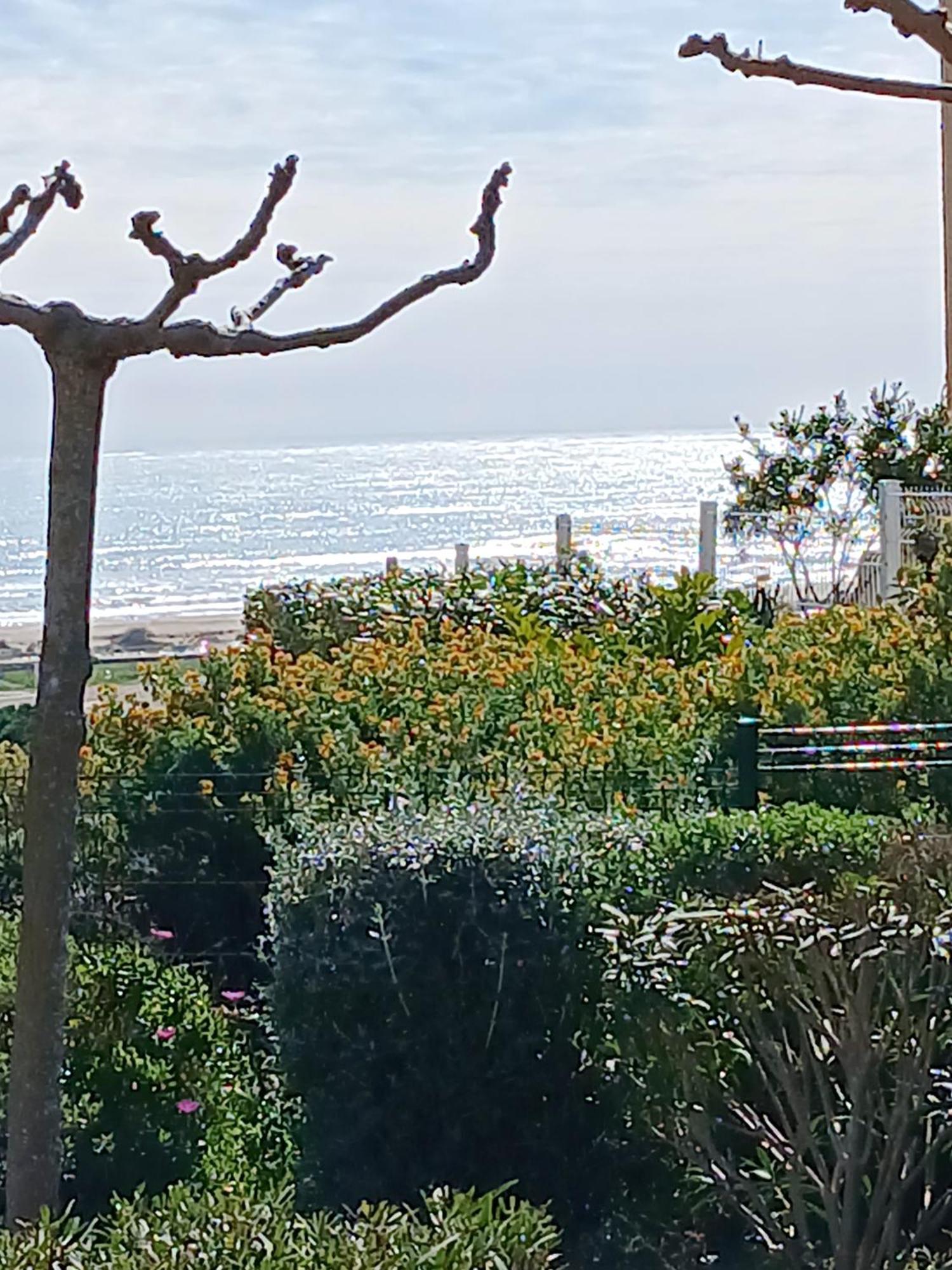 Plain-Pied Jardin 6 Personnes Clim Vue Mer Parking Wifi Terrasse Piscine Dans La Residence Saint-Pierre-la-Mer  Zewnętrze zdjęcie